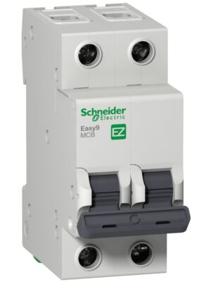 INTERRUPTOR AUT TERMOMAG P/RIEL 2P 16A 230/400VAC 10/6KA EASY9 EZ9F56216