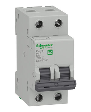 INTERRUPTOR TERMOMAGNETICO BIPOLAR 2X40 A EZ9F56240 SCHNEIDER 5401
